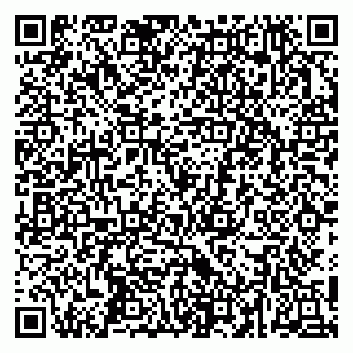 vCard 79252104334