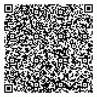 vCard 79252104339