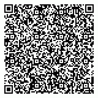 vCard 79252104378