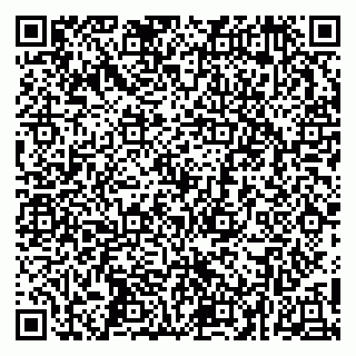 vCard 79252104379