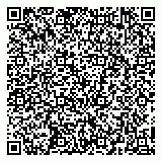 vCard 79252104383