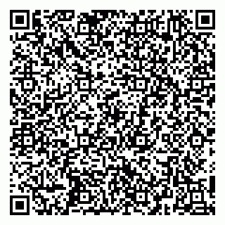 vCard 79252104386