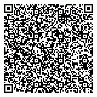 vCard 79252104387