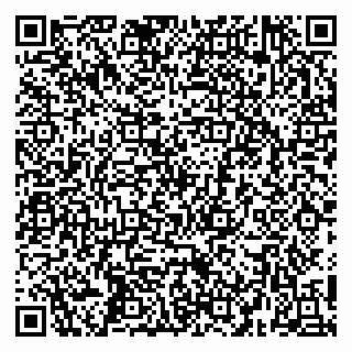 vCard 79252104393