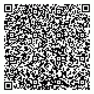 vCard 79252104397