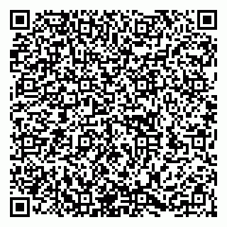 vCard 79252104399
