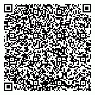 vCard 79252104403
