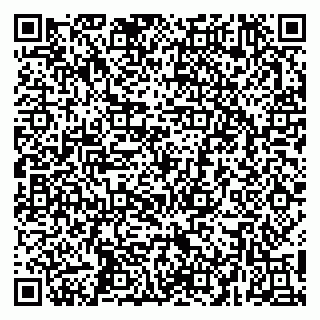 vCard 79252104417