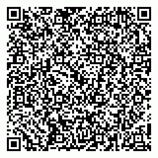 vCard 79252502739