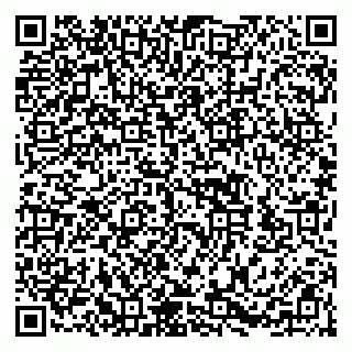 vCard 79252503003