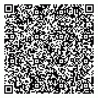vCard 79252503500