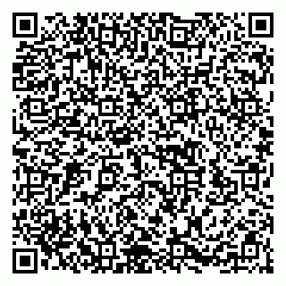 vCard 79252503511