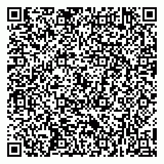 vCard 79252503513