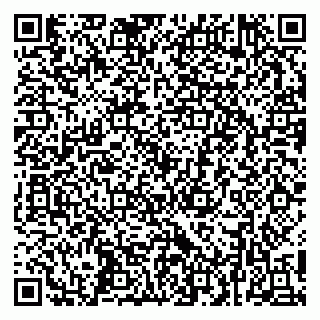 vCard 79252503523