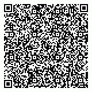 vCard 79252503524