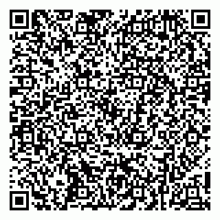 vCard 79252503529