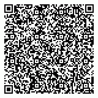 vCard 79252503530