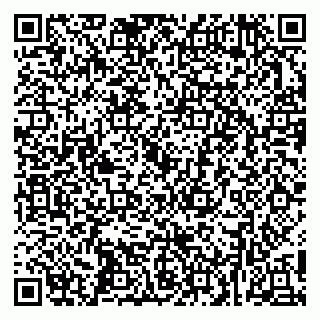 vCard 79252503531