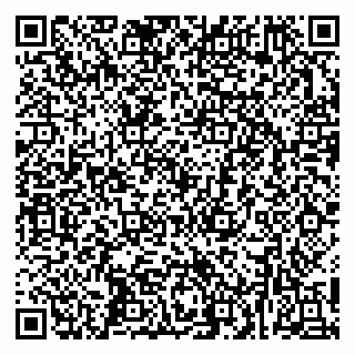 vCard 79252503532