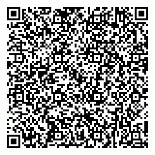 vCard 79252503533