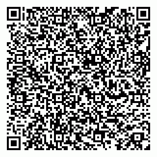 vCard 79252503538
