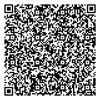 vCard 79252503539