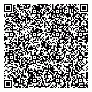 vCard 79252503540