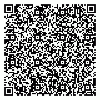 vCard 79252503541