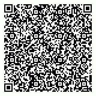 vCard 79252504697