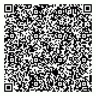 vCard 79252504708