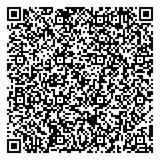 vCard 79252505199