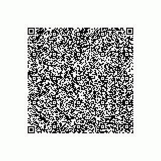 vCard 79252620008