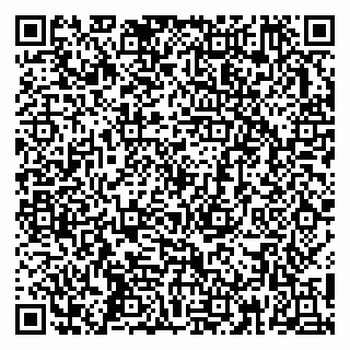 vCard 79253304072