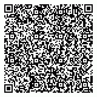 vCard 79253460873