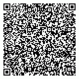 vCard 79253482131
