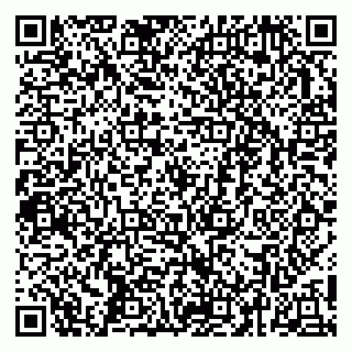 vCard 79253615029