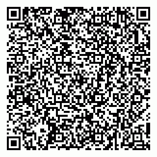 vCard 79253615031