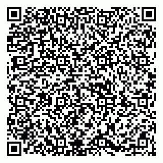 vCard 79253990272