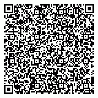 vCard 79255918335