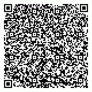 vCard 79255933100