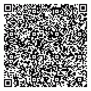 vCard 79255933137