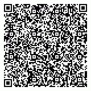 vCard 79255933331
