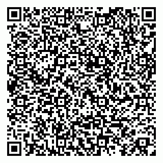 vCard 79255933333