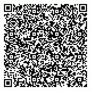 vCard 79255938903