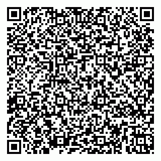 vCard 79255941333