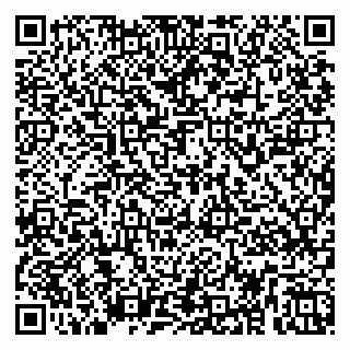 vCard 79255947395