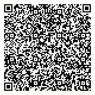 vCard 79255951731