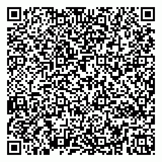 vCard 79255952389