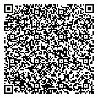 vCard 79255953393