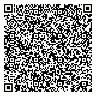 vCard 79255958803